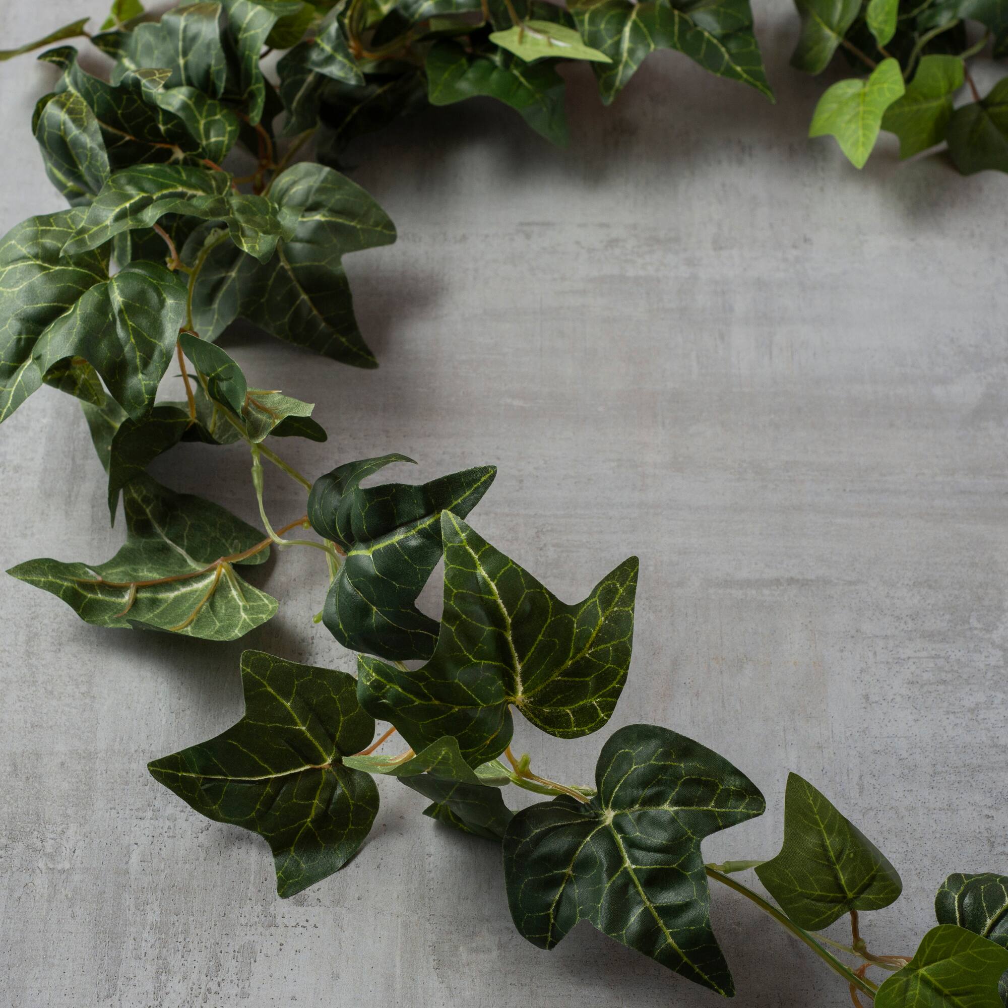 7 Pack: 6ft. Green English Ivy Garland by Ashland®